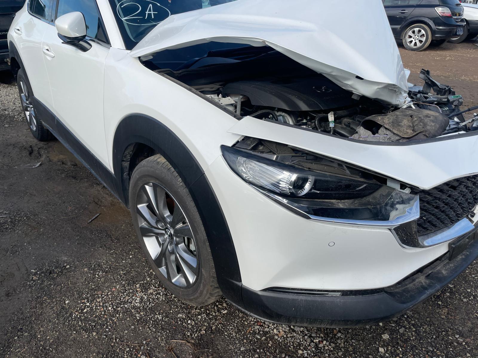 Mazda CX30 2022 Auto -  LHF Door Shell